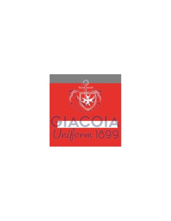 Grado Velcro Personale Con Laurea Triennale Di 1° Livello Psicologi