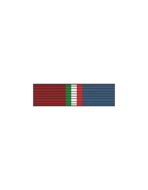 Nastrino/medaglia Missione Domino