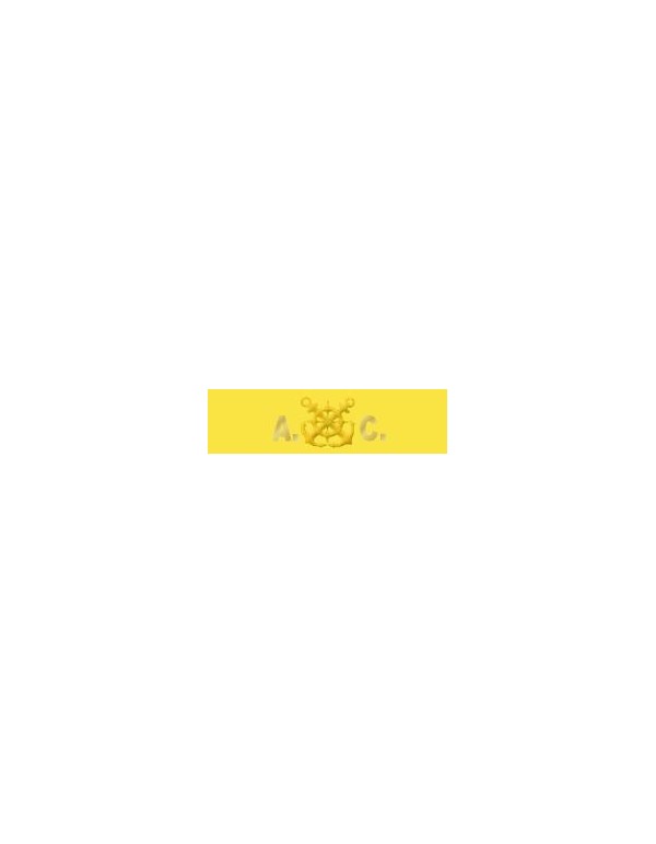 Nastrino Di Categoria Nocchiere A.C. Guardia Di...