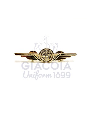 Distintivo Brevetto Equipaggi Fissi Di Volo (efv)