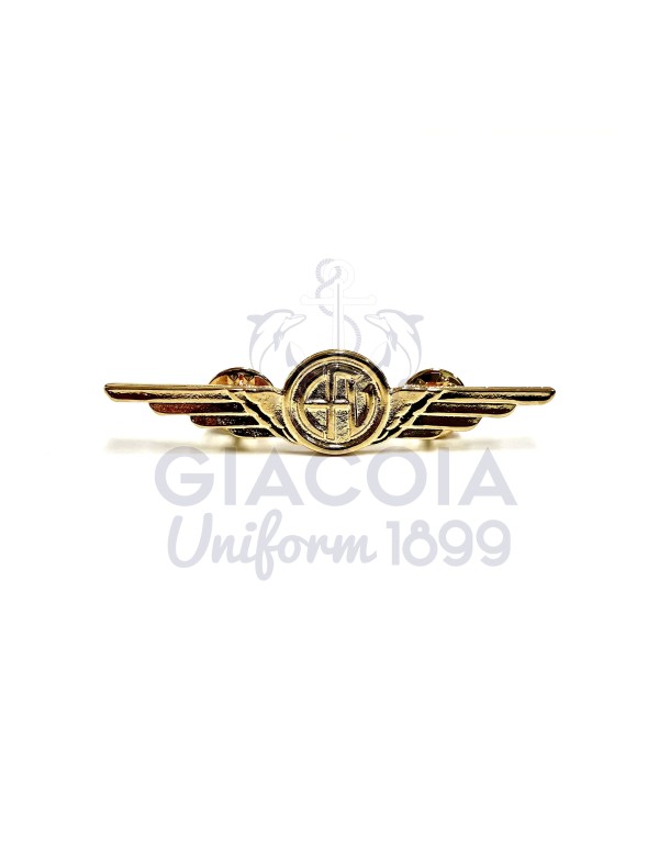 Distintivo Brevetto Equipaggi Fissi Di Volo (EFV)