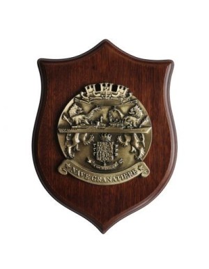 copy of Crest Amerigo Vespucci