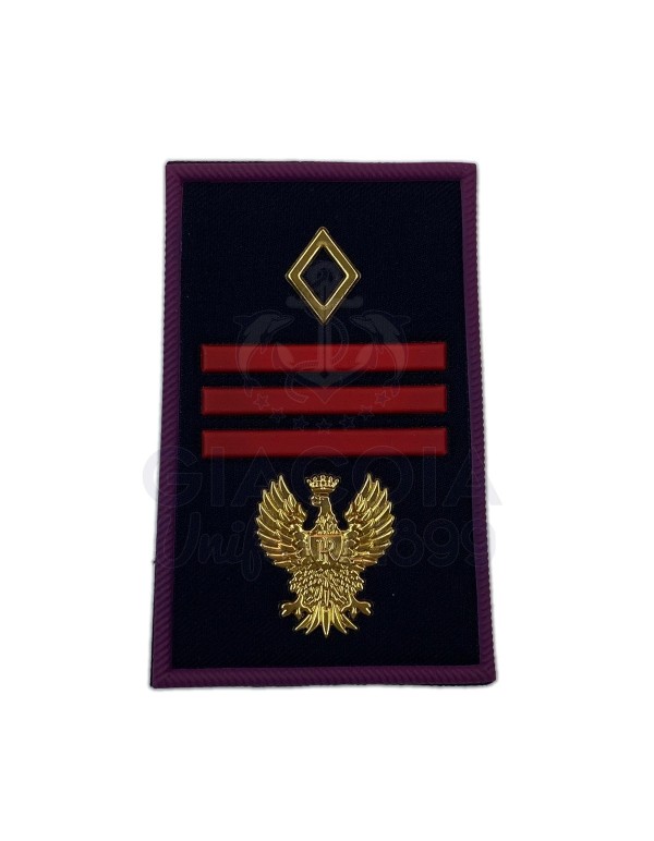 TUBOLARI PLASTICA POLIZIA DI STATO RUOLO AGENTI...