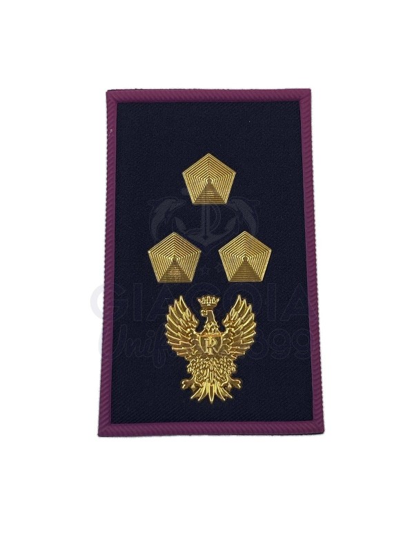 TUBOLARI PLASTICA POLIZIA DI STATO RUOLO ISPETTORI