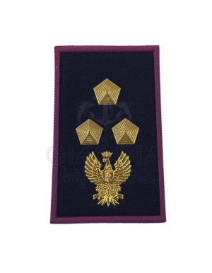 TUBOLARI PLASTICA POLIZIA DI STATO RUOLO ISPETTORI