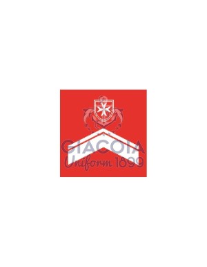 Tubolari (coppia) Personale Abilitato Blsd + Pblsd