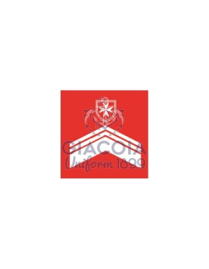 Tubolari (coppia) Personale Abilitato Blsd + Pblsd + Pthc