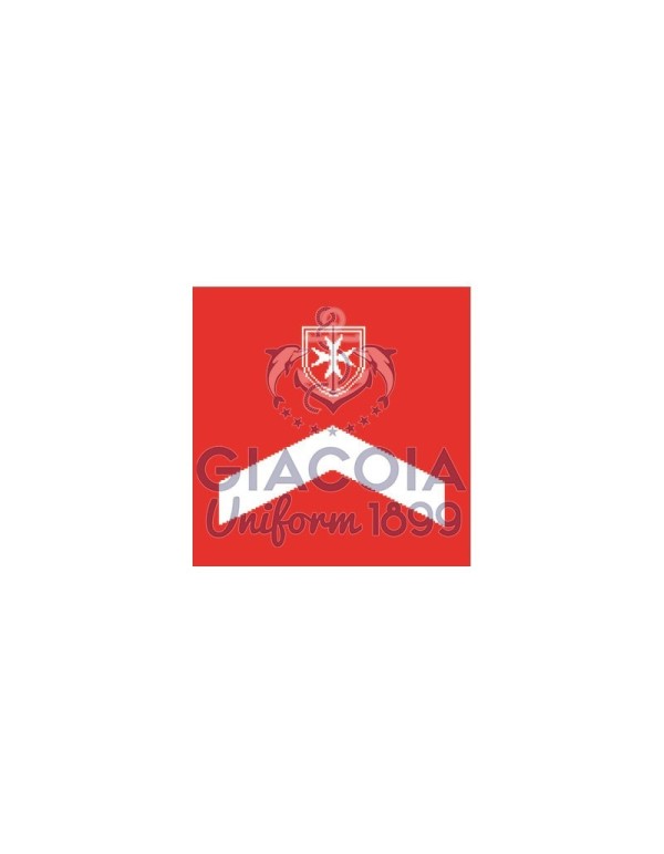 Tubolari (coppia) Personale Con Corso Di Primo Soccorso